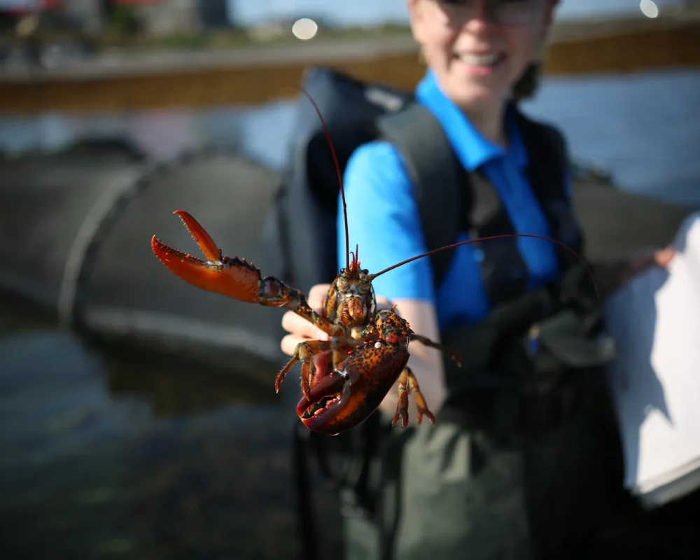 Exploramer - CUEILLETTE DE POISSON