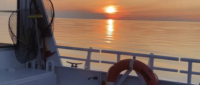 Exploramer - Coucher du soleil sur la mer