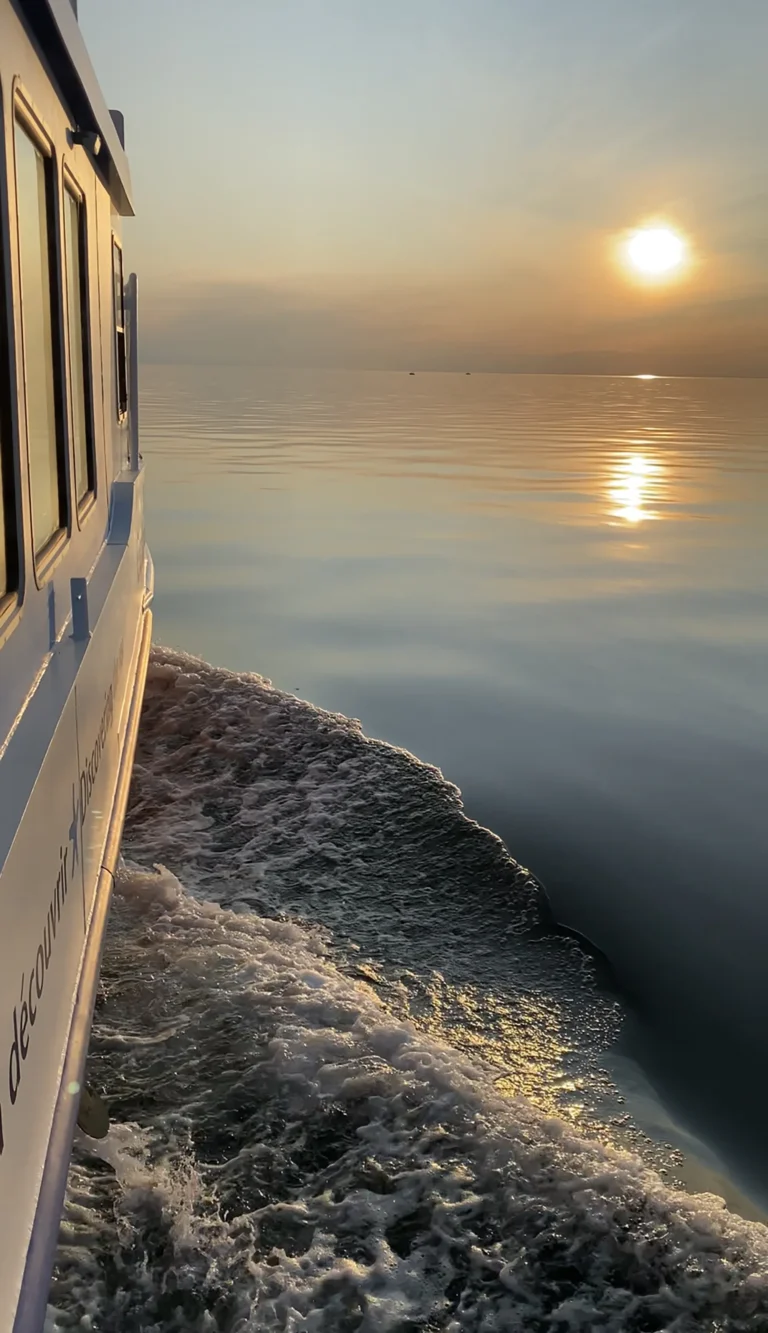 Exploramer - Coucher du soleil sur la mer