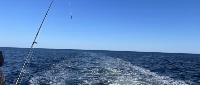 Exploramer - Fourchette bleue, initiation à la pêche durable